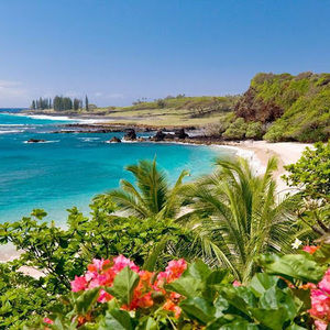 Meet your Posher, Angelica